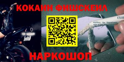 шишки Владимир