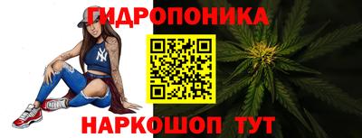 шишки Владимир