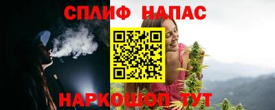 шишки Владимир