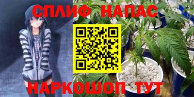 шишки Владимир