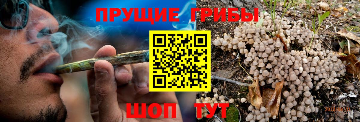 Галлюциногенные грибы Cubensis  Псилоцибиновые грибы Magic Shrooms  Вход с VPN  закладки  Сыктывкар 